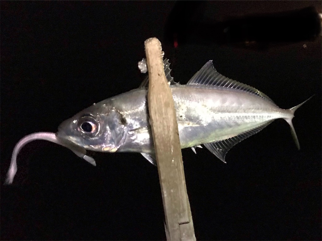 f:id:esojima3:20200314092550j:image