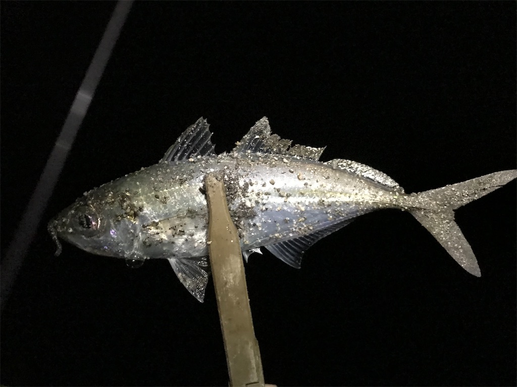 f:id:esojima3:20200314092851j:image