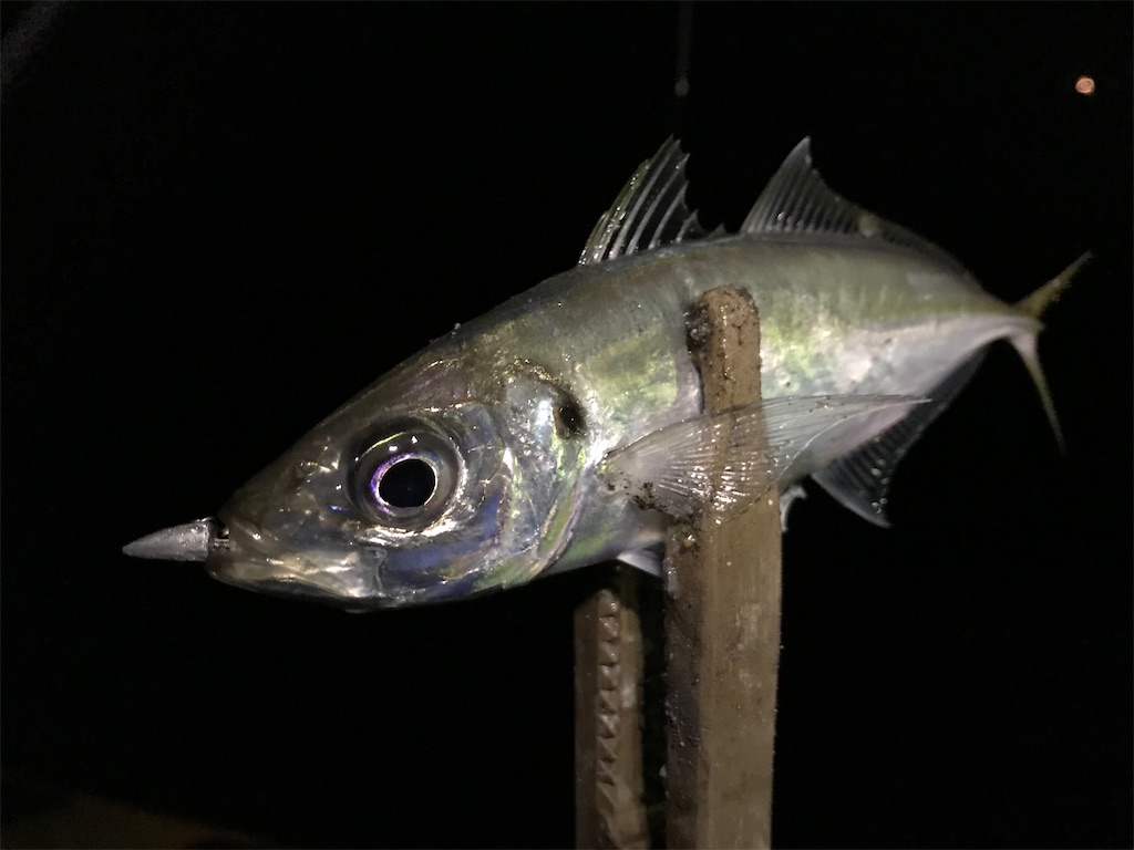 f:id:esojima3:20200314092854j:image