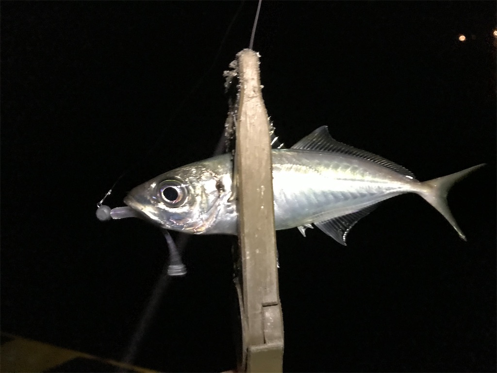 f:id:esojima3:20200314092901j:image