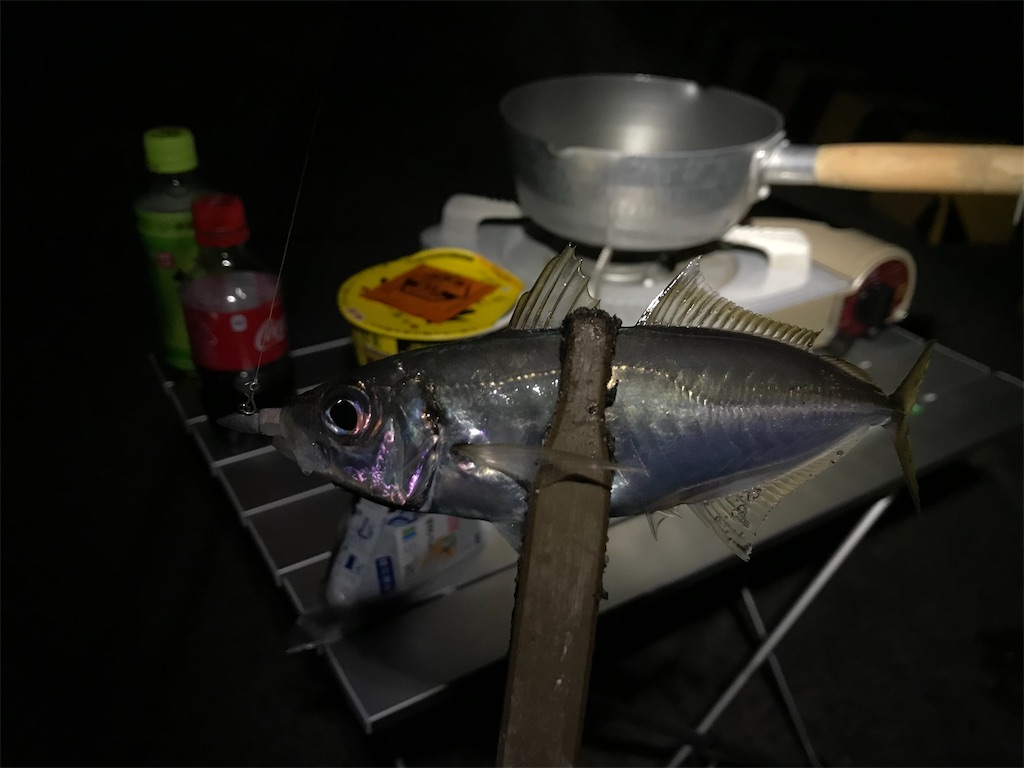 f:id:esojima3:20200314093353j:image