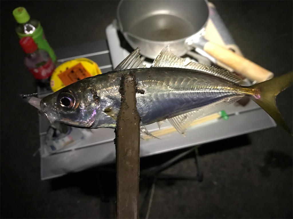 f:id:esojima3:20200314093356j:image