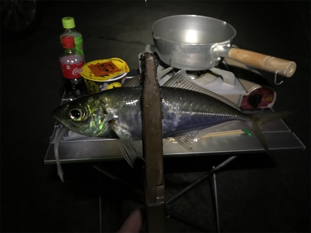 f:id:esojima3:20200314093400j:image