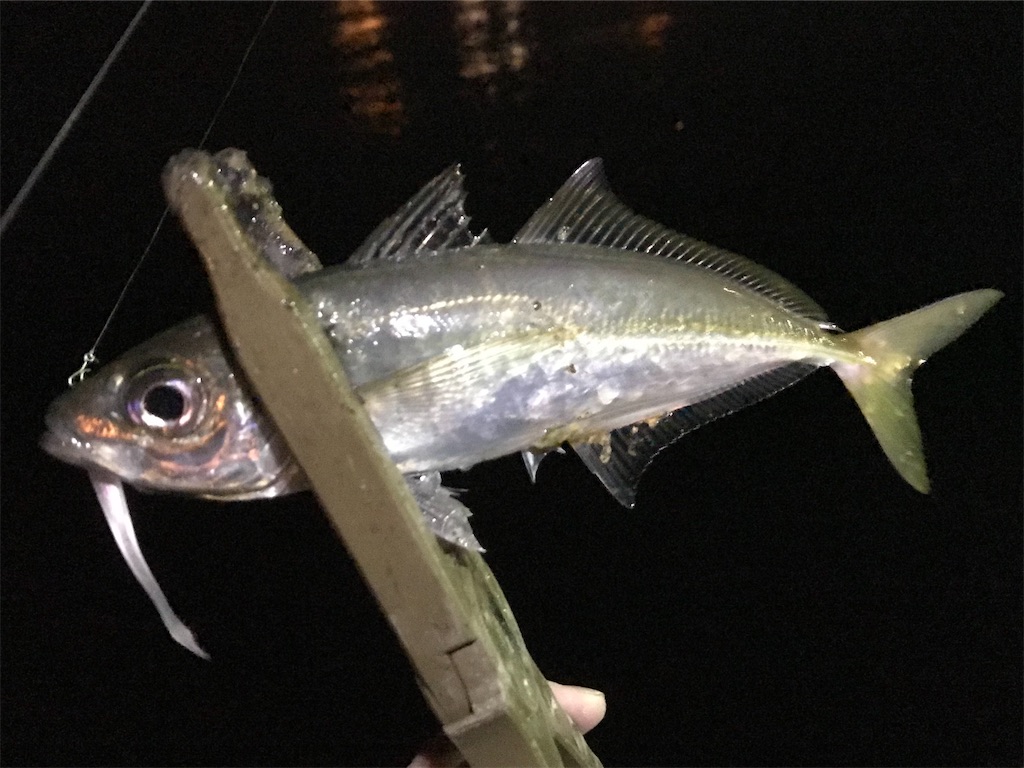 f:id:esojima3:20200314093748j:image