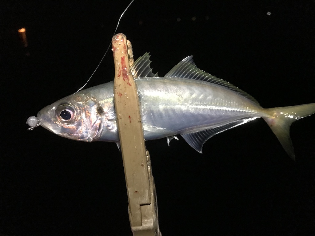 f:id:esojima3:20200314093752j:image