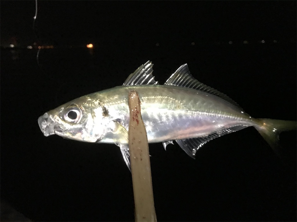 f:id:esojima3:20200314093758j:image