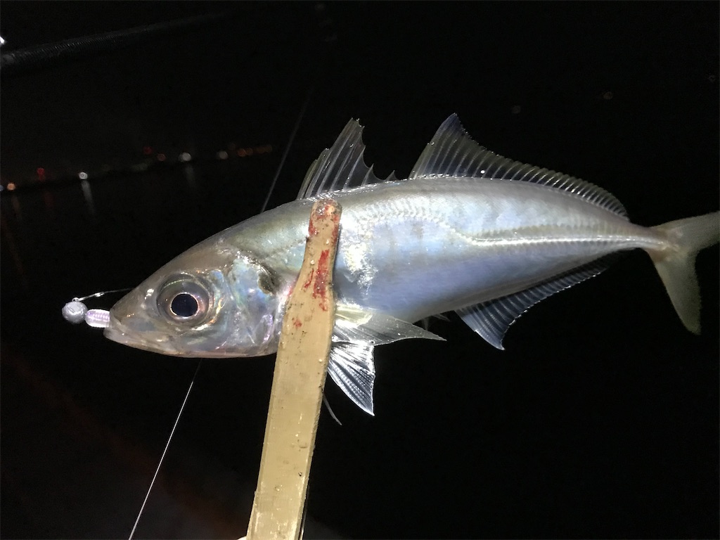 f:id:esojima3:20200314093801j:image