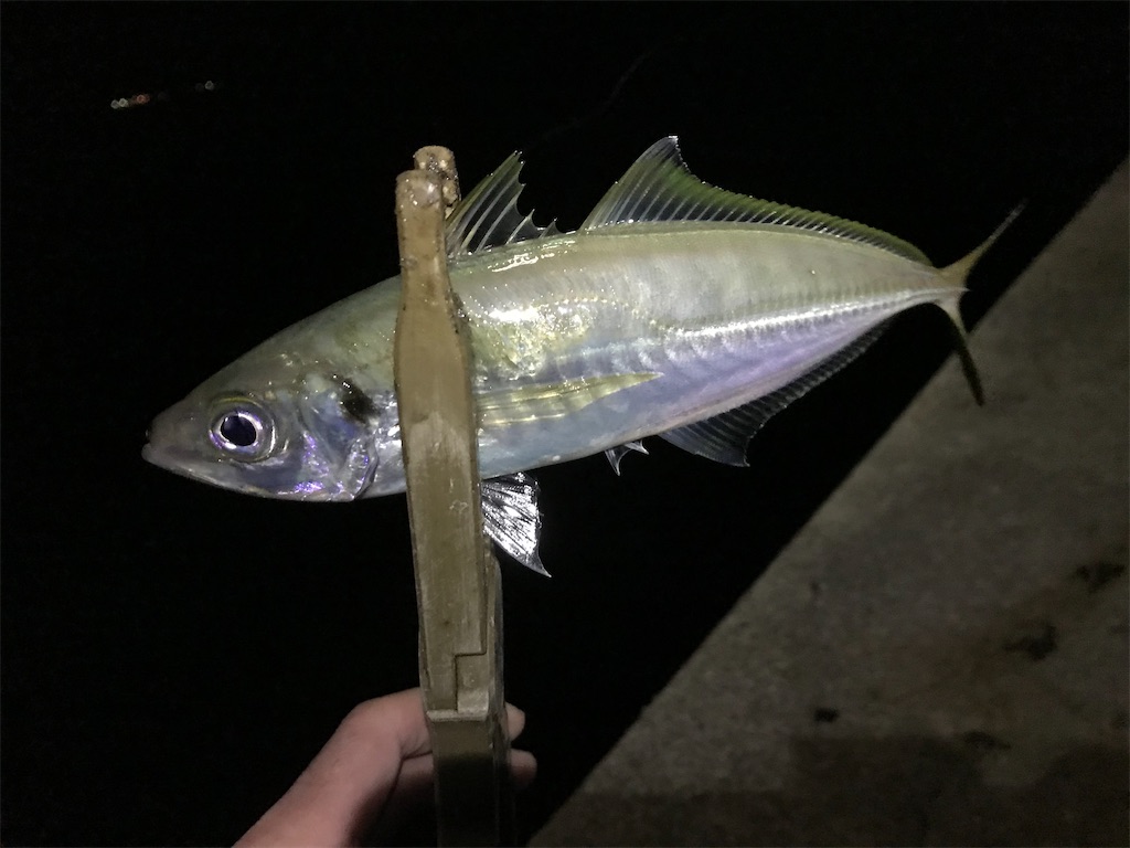 f:id:esojima3:20200315000340j:image