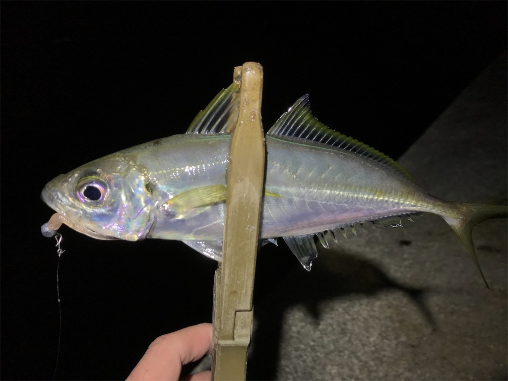 f:id:esojima3:20200315000344j:image