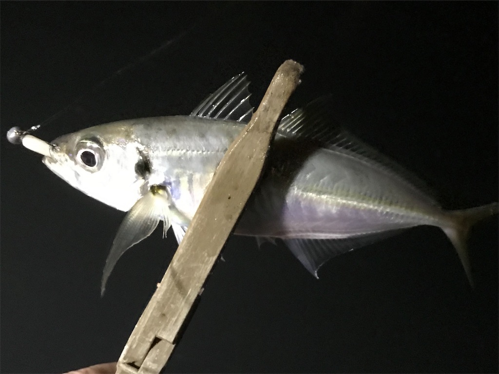 f:id:esojima3:20200315032759j:image f:id:esojima3:20200315032759j:image