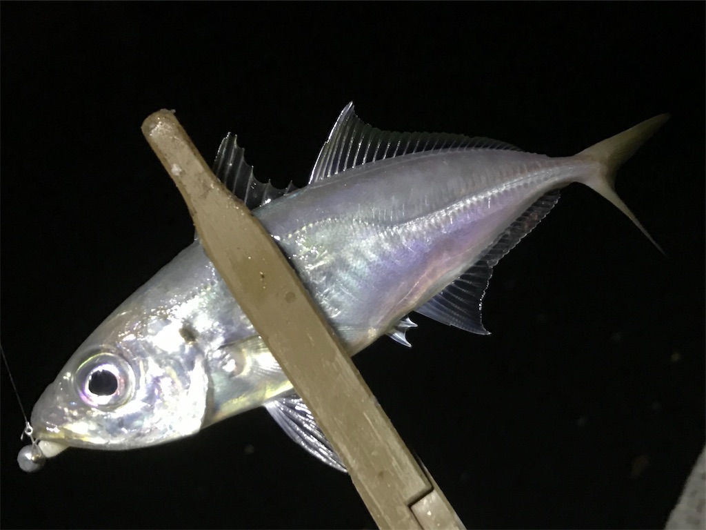 f:id:esojima3:20200315032802j:image f:id:esojima3:20200315032802j:image
