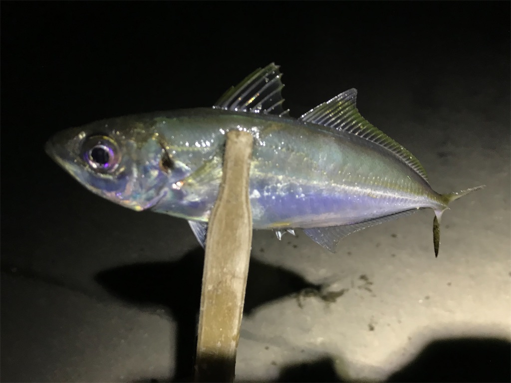 f:id:esojima3:20200316230818j:image