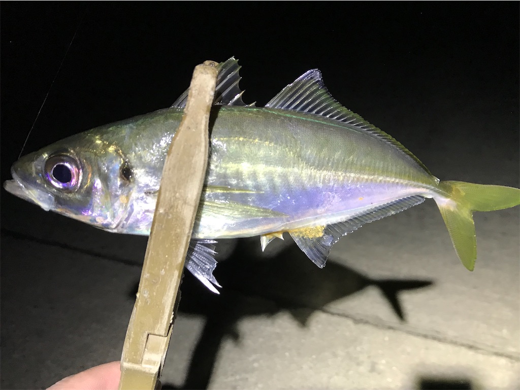 f:id:esojima3:20200316230851j:image