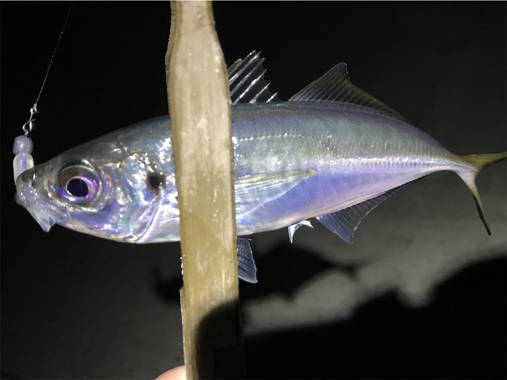 f:id:esojima3:20200316230854j:image