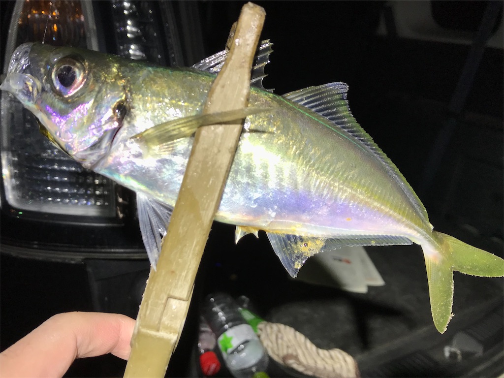 f:id:esojima3:20200316230858j:image