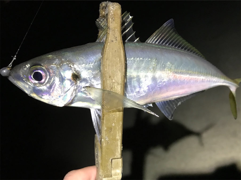 f:id:esojima3:20200316231411j:image
