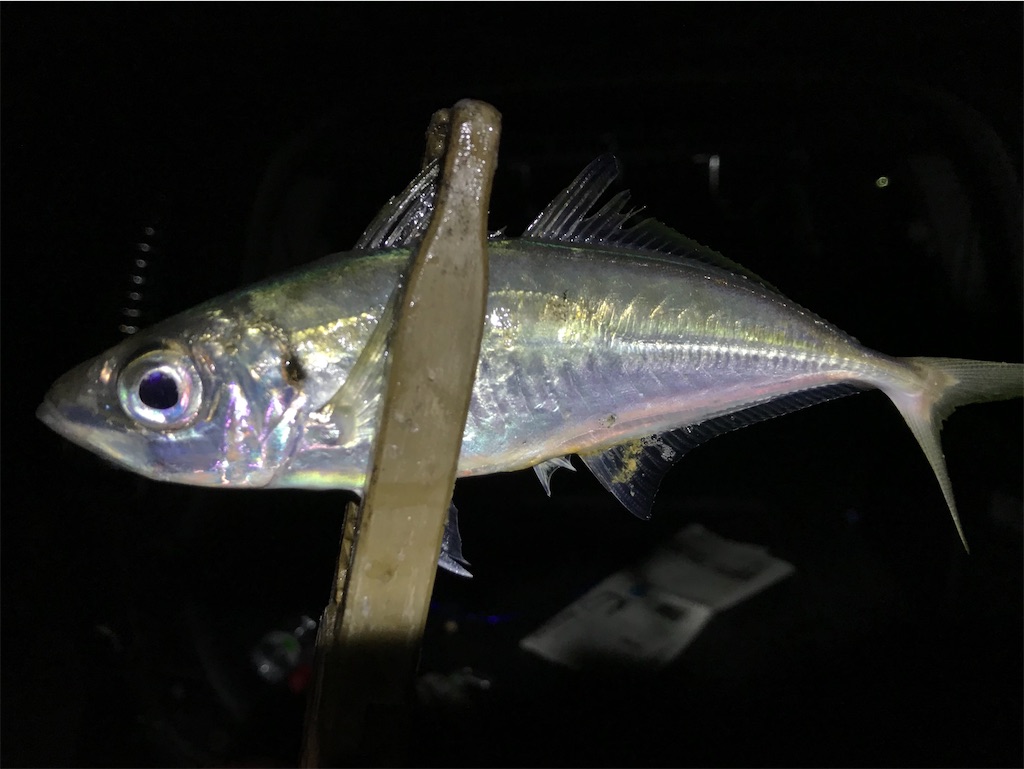 f:id:esojima3:20200316231415j:image