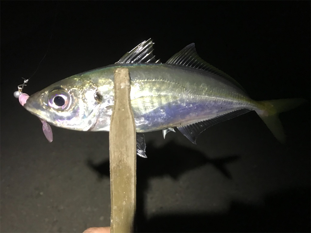f:id:esojima3:20200317223256j:image