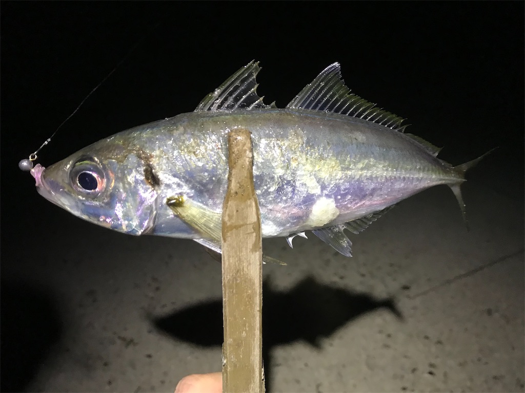 f:id:esojima3:20200317223439j:image