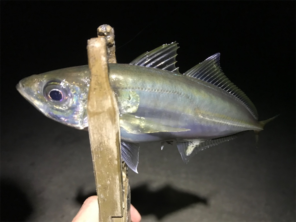 f:id:esojima3:20200317223448j:image