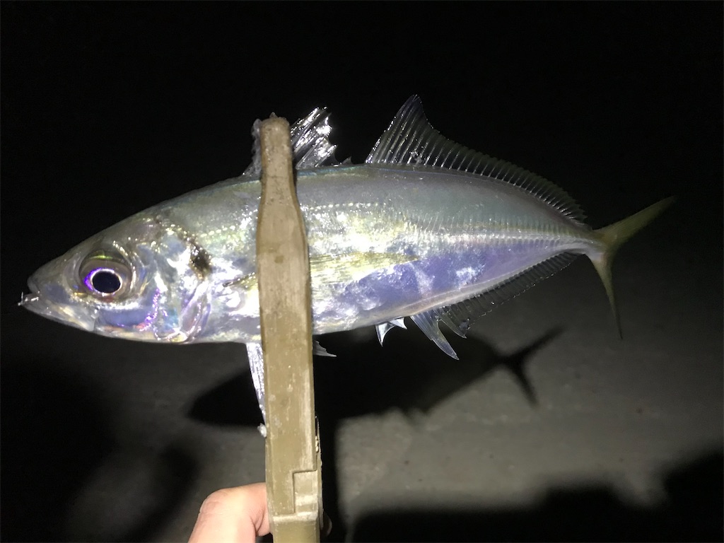 f:id:esojima3:20200317223536j:image