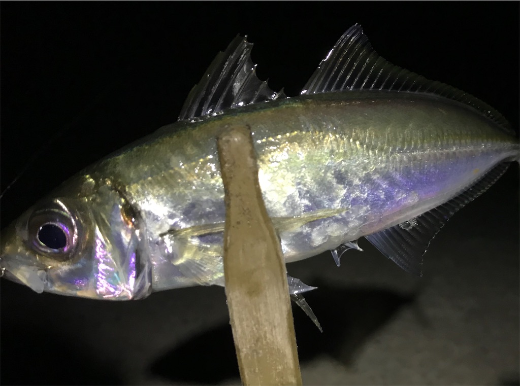 f:id:esojima3:20200317223612j:image