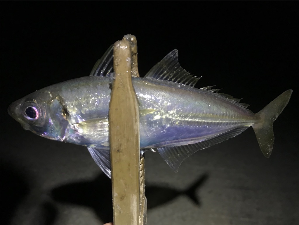 f:id:esojima3:20200317223717j:image