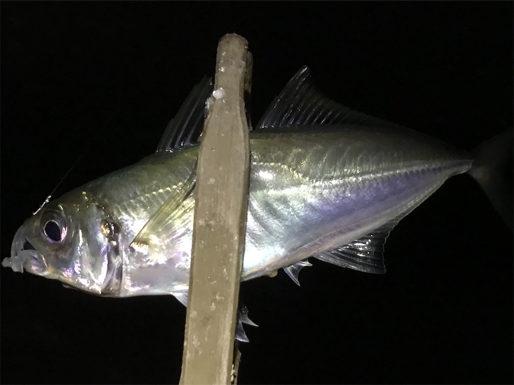 f:id:esojima3:20200318214933j:image f:id:esojima3:20200318214933j:image