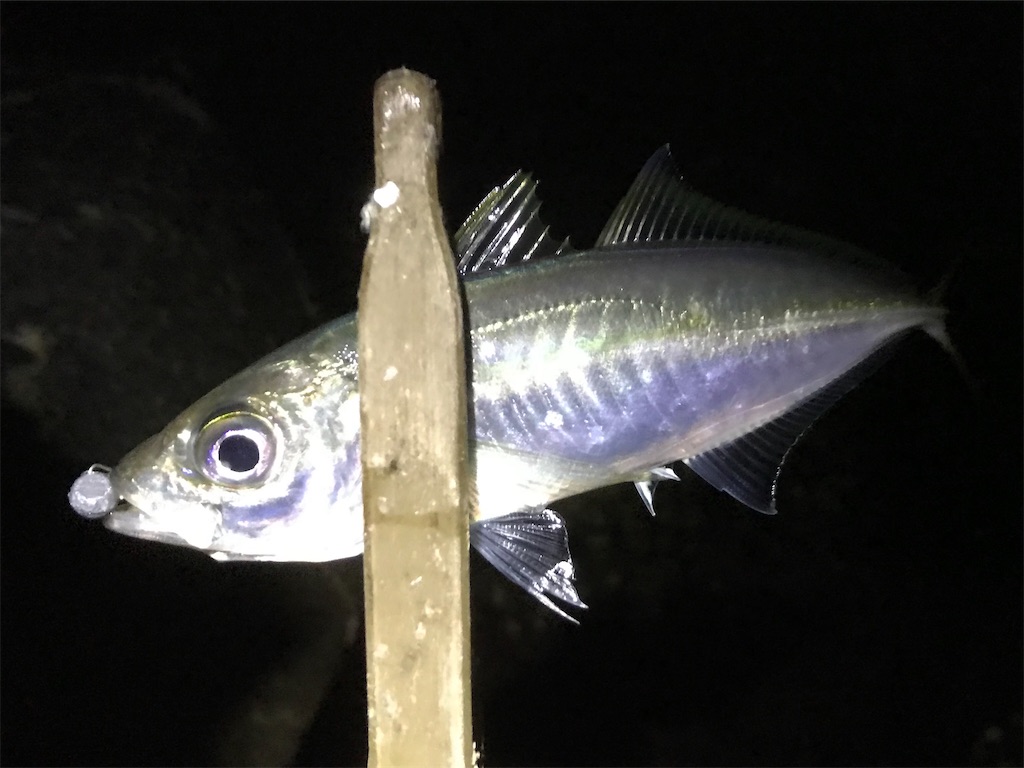 f:id:esojima3:20200318215011j:image f:id:esojima3:20200318215011j:image