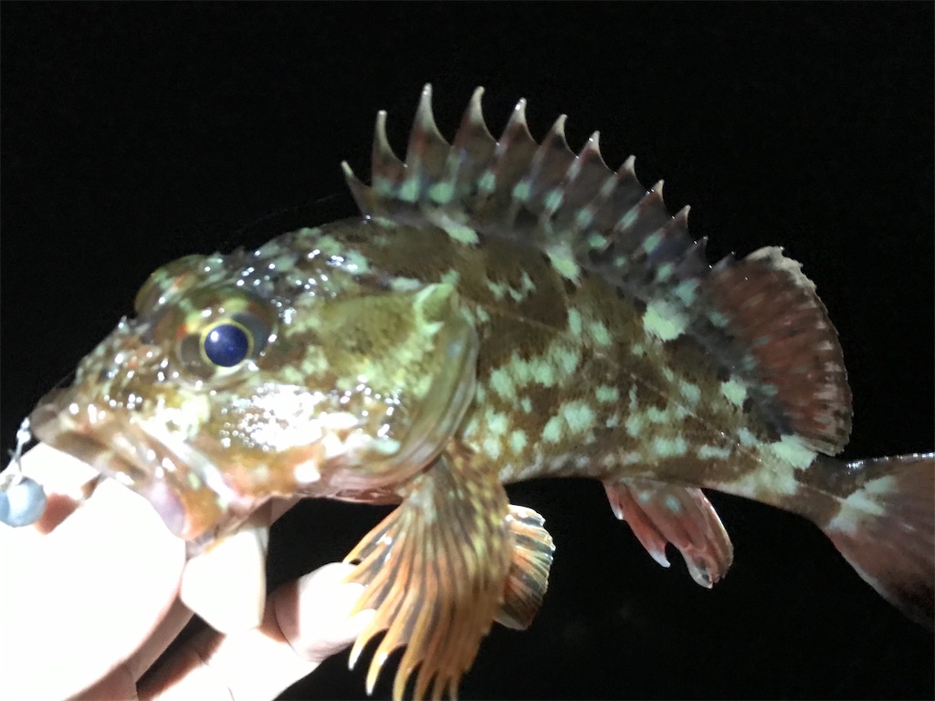 f:id:esojima3:20200318215355j:image f:id:esojima3:20200318215355j:image