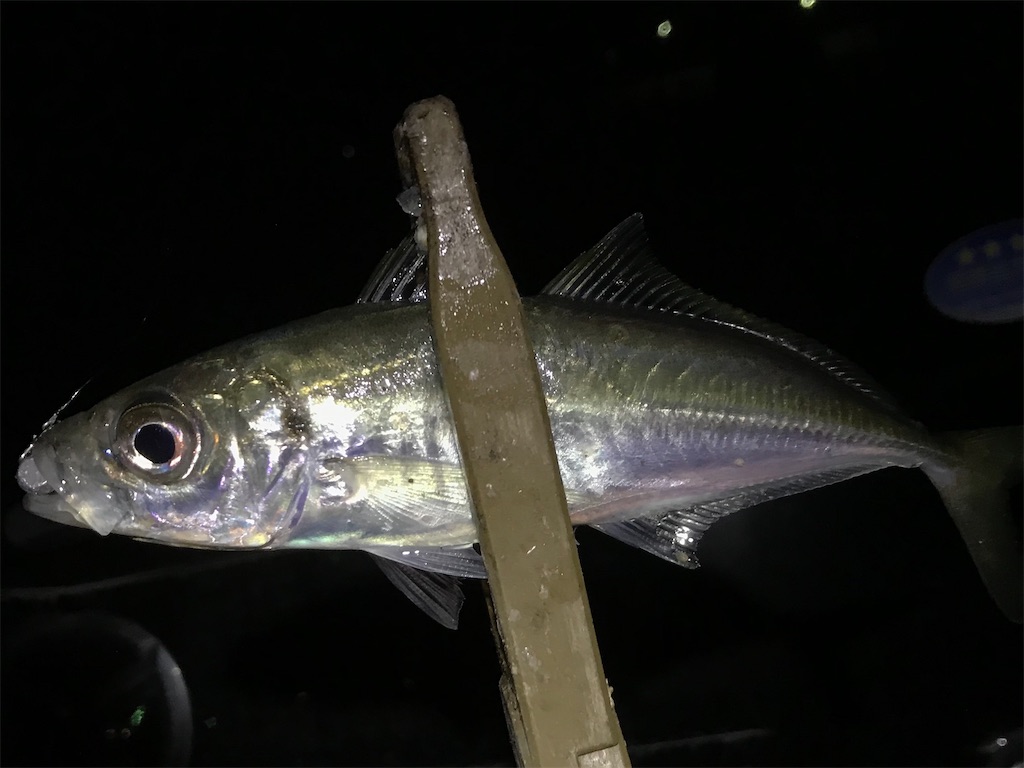 f:id:esojima3:20200318215644j:image f:id:esojima3:20200318215644j:image