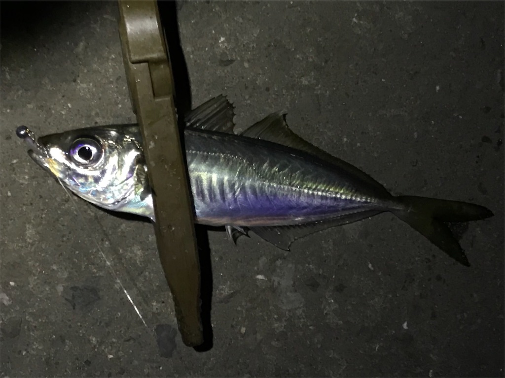 f:id:esojima3:20200318215648j:image f:id:esojima3:20200318215648j:image