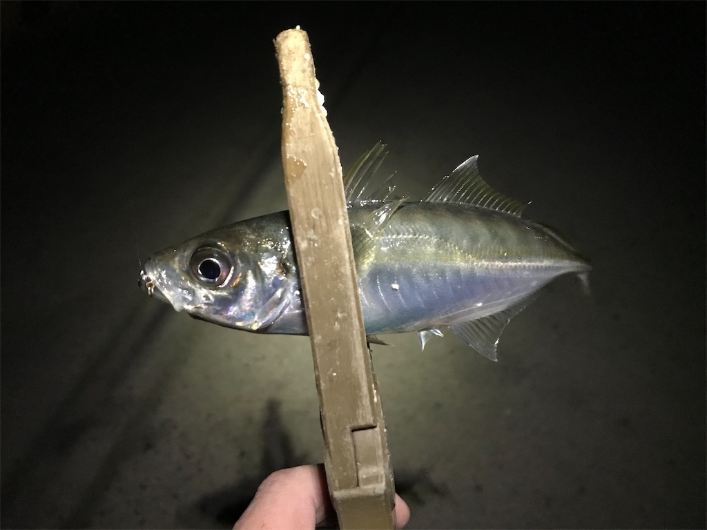 f:id:esojima3:20200320073057j:image