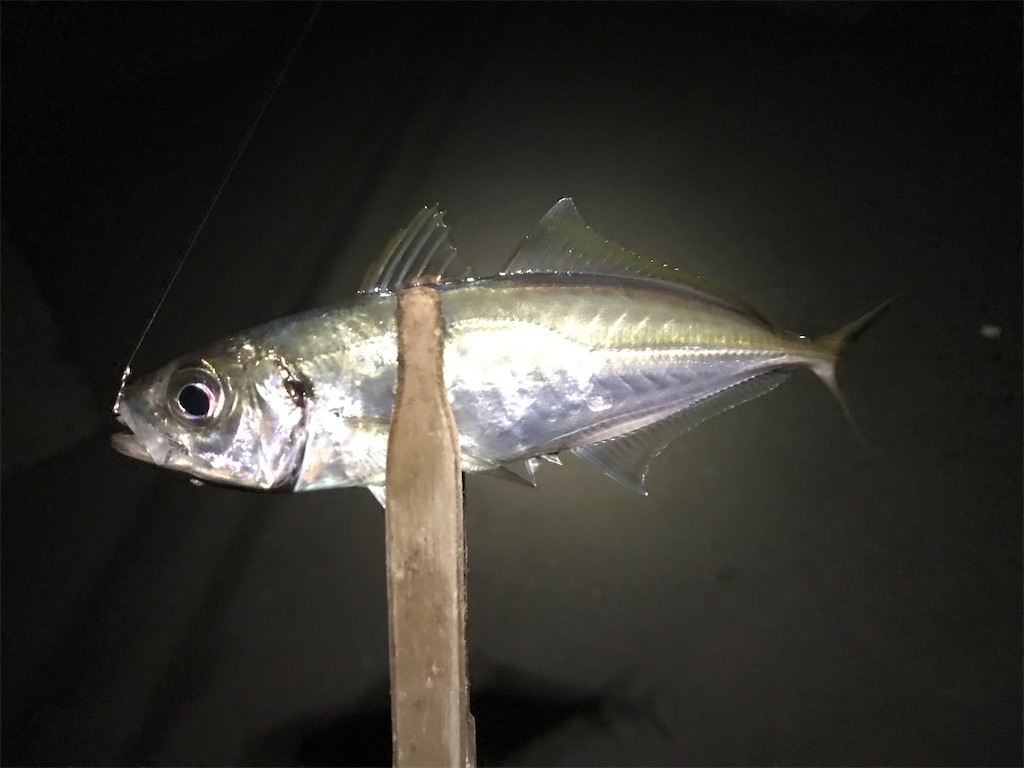 f:id:esojima3:20200320073104j:image
