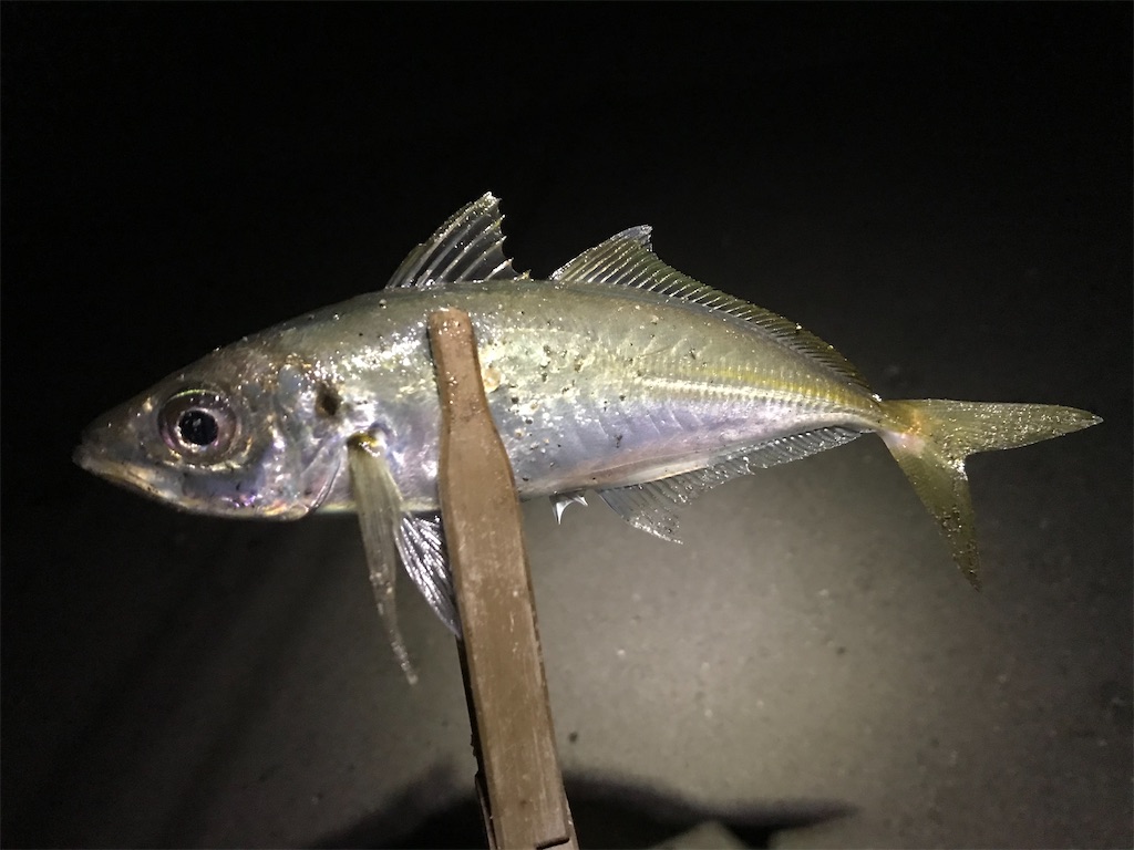 f:id:esojima3:20200320073441j:image