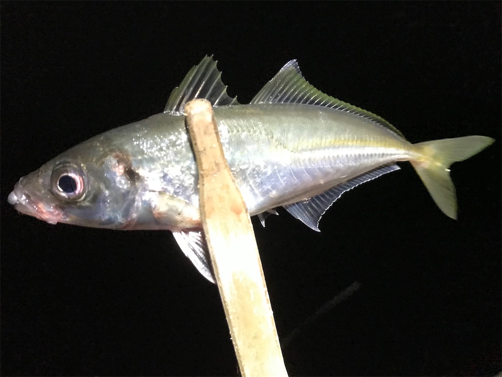 f:id:esojima3:20200320073447j:image