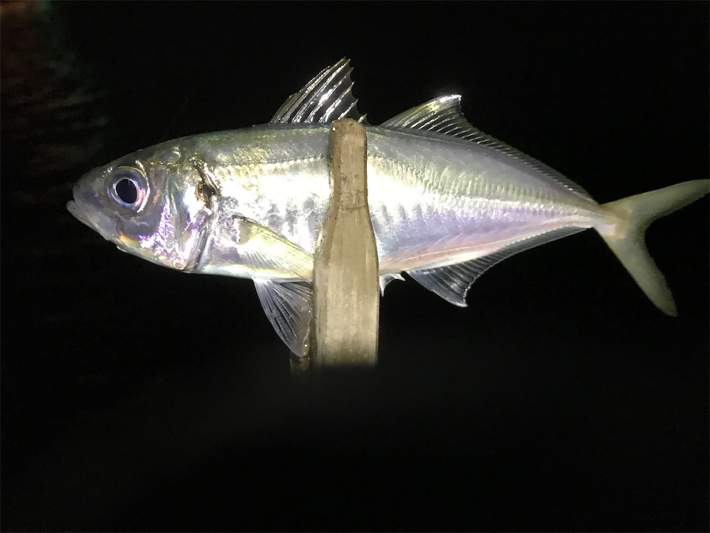 f:id:esojima3:20200320073450j:image