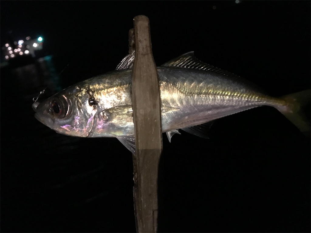 f:id:esojima3:20200320073457j:image