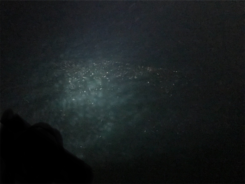 f:id:esojima3:20200320075739j:image