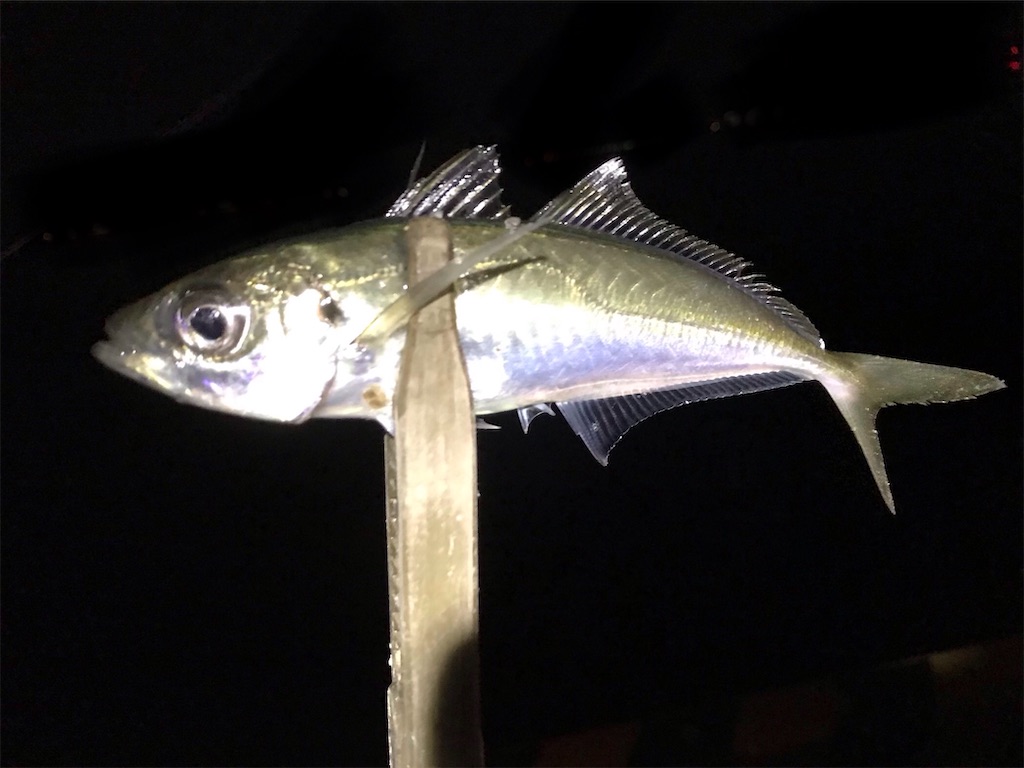 f:id:esojima3:20200320080808j:image