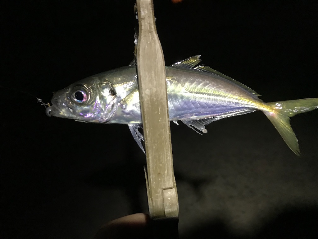 f:id:esojima3:20200320080832j:image