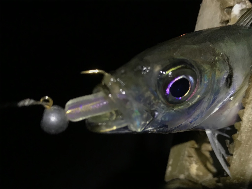 f:id:esojima3:20200320080835j:image
