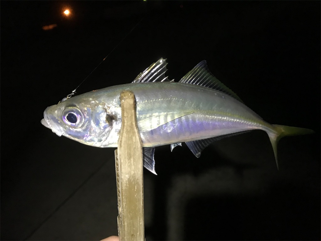 f:id:esojima3:20200320080905j:image