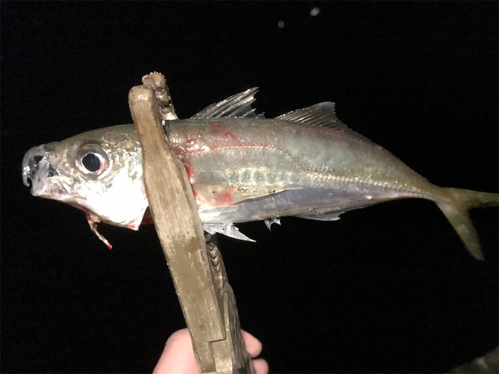 f:id:esojima3:20200321064501j:image