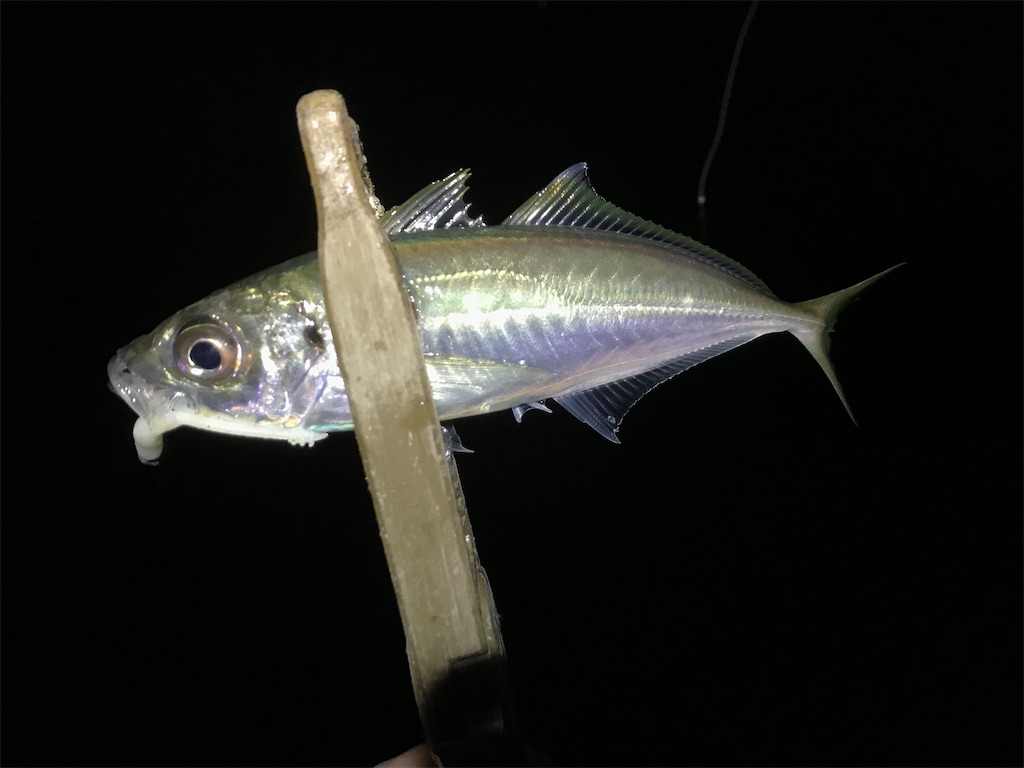 f:id:esojima3:20200321064507j:image