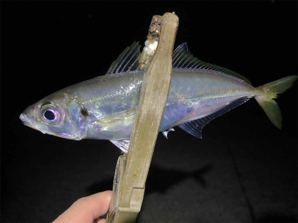 f:id:esojima3:20200321064510j:image