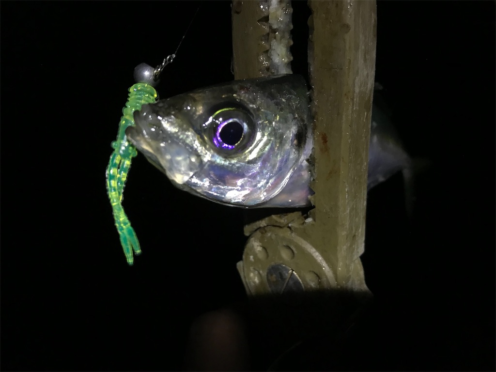 f:id:esojima3:20200321065349j:image