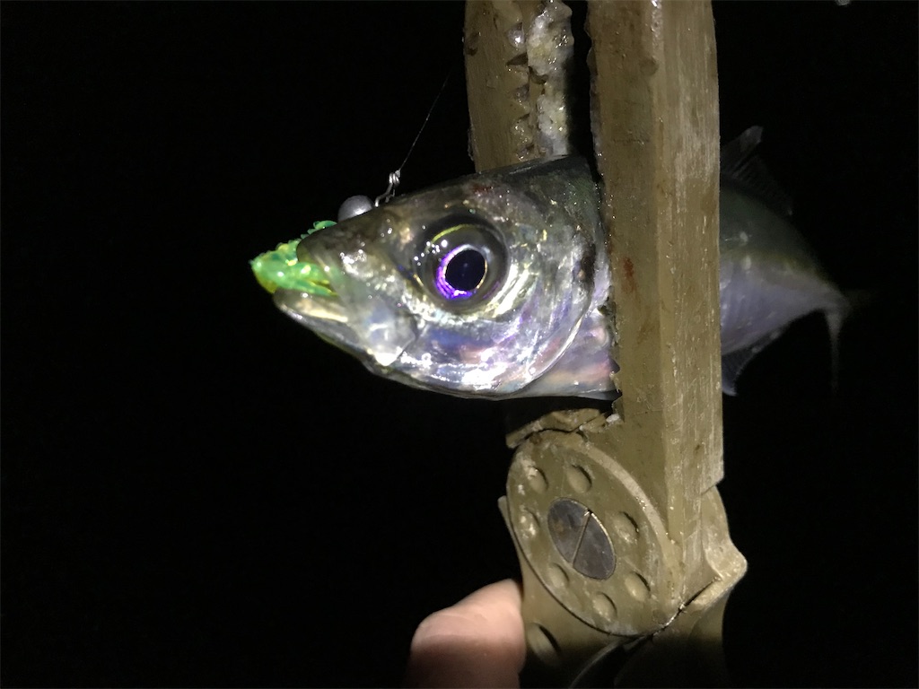f:id:esojima3:20200321065356j:image