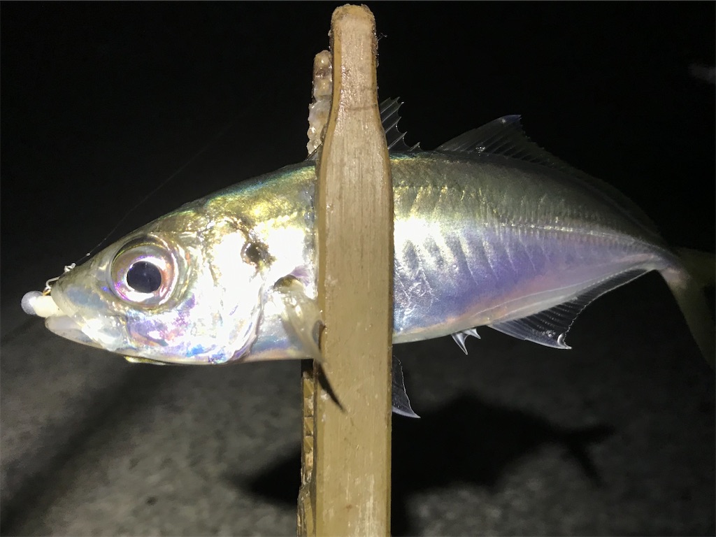 f:id:esojima3:20200322194735j:image