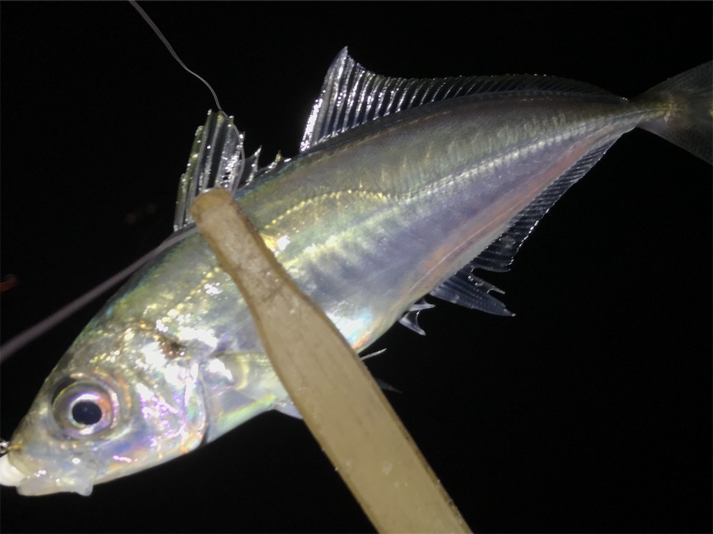 f:id:esojima3:20200322194739j:image